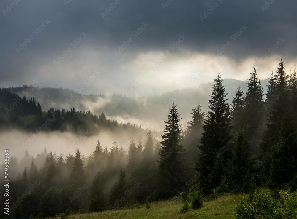 Fototapeta premium Dark foggy mountains wallpaper