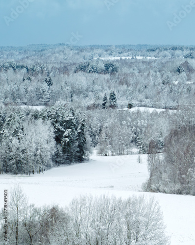 Winter landscape in the Latvian countryside (next to Lake Siver) © mode