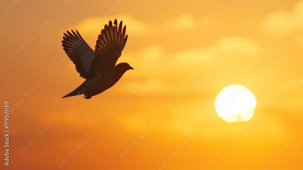 Fototapeta premium The concept of freedom, a bird in flight against a golden hour sky, the sense of liberation.