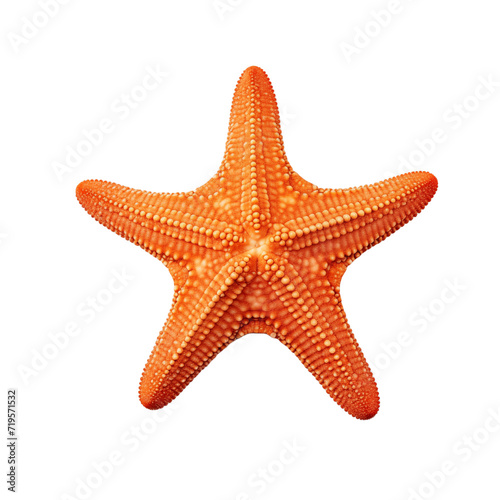 Red starfish isolated on transparent and white background. Generative ai