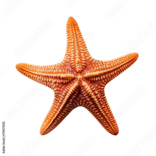 red starfish isolated on transparent and white background. Generative ai