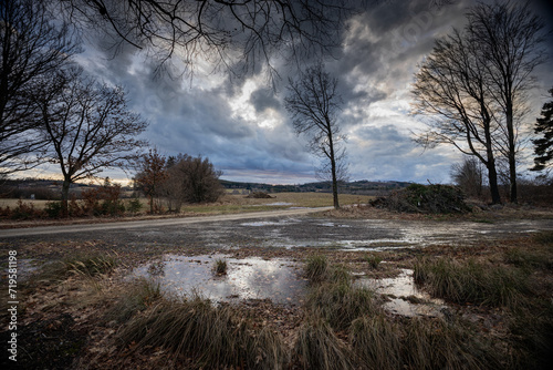 Autumn or winter late evening landscape with puddles on foreground , trees, branches and field, sunset sky clouds on background