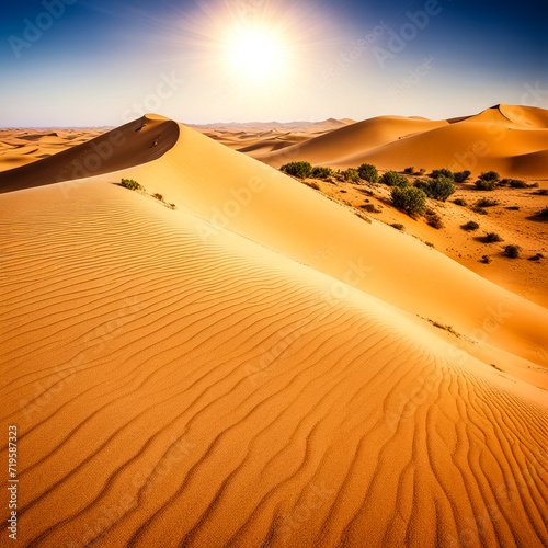 Photography of scenery Sahara desert - sandy dunes with vegetation at sunny day. View of landscape desert hills with sand at blue summer sky. Sahara  Tozeur city  Tunisia  Africa. Copy ad text space