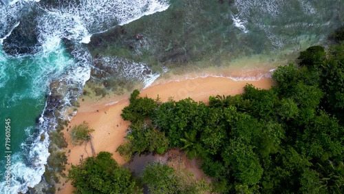 Aerial over jungle coast revealing waves on atlantic ocean in Bocas Del Toro Panama photo