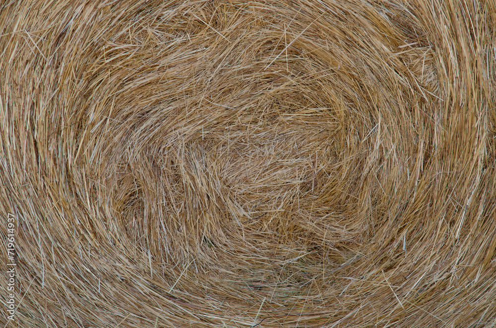 Hay Background, Straw Pattern, Thatch Texture Hay Background, Straw Pattern, Thatch Texture