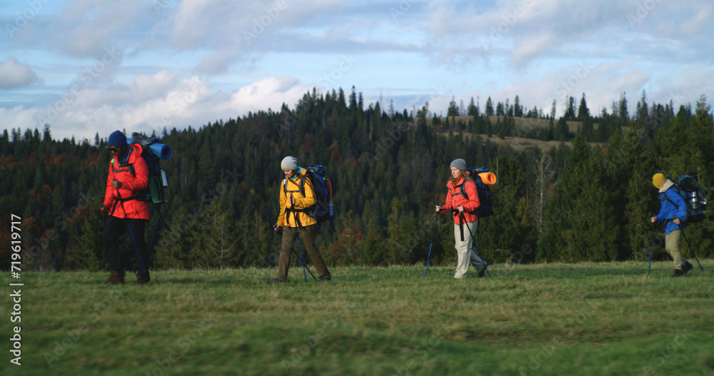 Full shot of diverse hiking buddies with trekking poles and backpacks going on trail in forest to camp. Group of tourists during trek or expedition to mountains. Nature discovery and tourism concept.