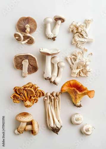 Various mushrooms are arranged on a white background in a flat lay composition.