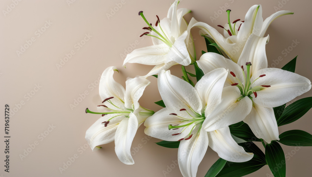 Fototapeta premium white lilies on a white background, top view of a bouquet in Japanese style