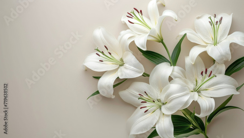 white lilies on a white background, top view of a bouquet in Japanese style