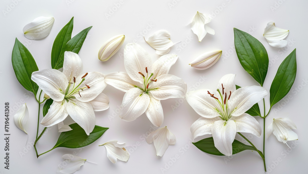 white lilies on a white background, top view of a bouquet in Japanese style white lilies on a white background, top view of a bouquet in Japanese style