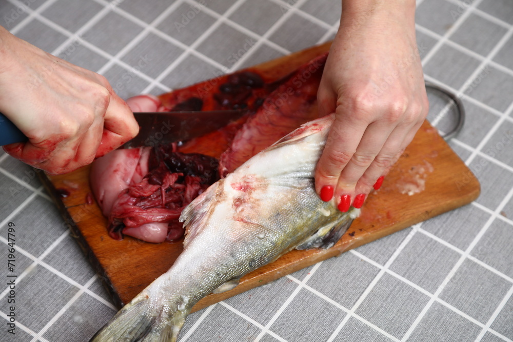 Salmon cutting