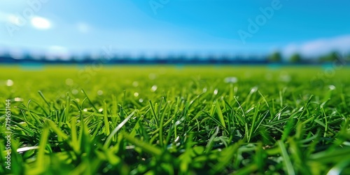 Low angle view on a green grass stadium field © piai