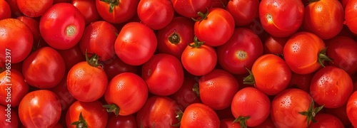 Abundance of Red Tomatoes