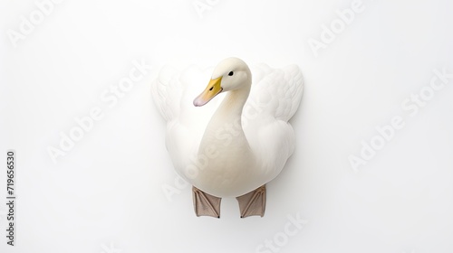 A captivating top-down view of a serene white duck floating on a tranquil white background, evoking a sense of purity and simplicity for diverse design needs © pvl0707