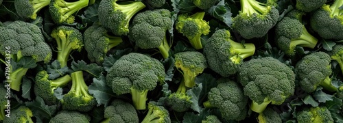 Large Pile of Broccoli