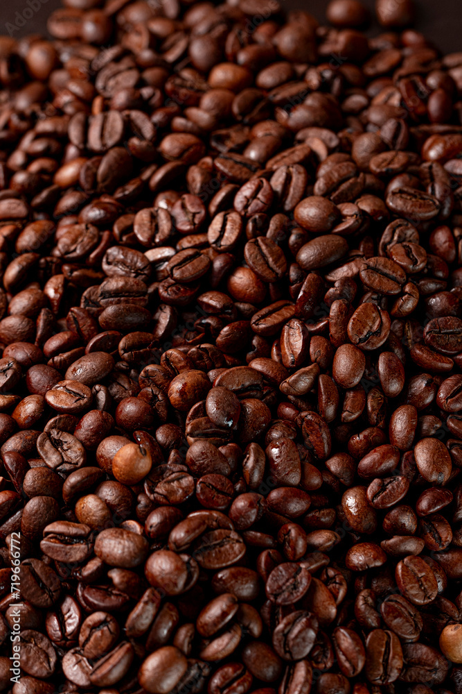 Grão de café coffee bean 