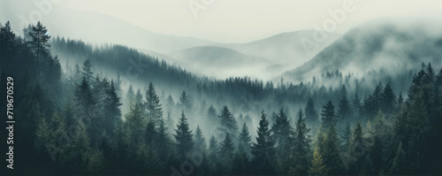 Foggy mountain in wide banner shape. Mystic fog morning nature scenery. © amazingfotommm