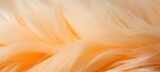 Trendy peach feather texture close up, abstract macro fluffy background, 2024 peach fuzz concept.