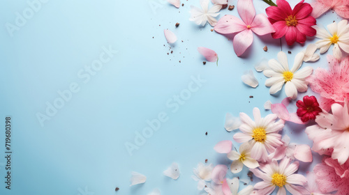 spring flowers on blue color with copy space