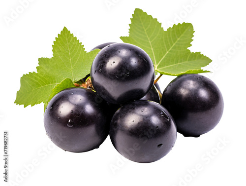 a group of black grapes with green leaves