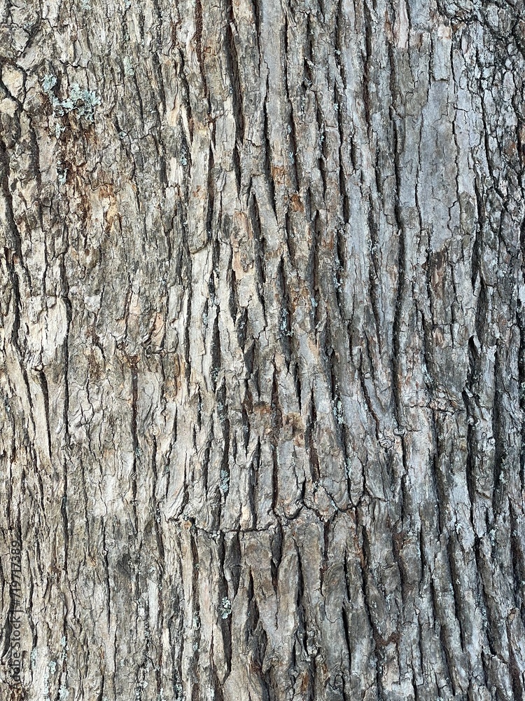 wood texture, wood sculpture, rough texture of bark. wood texture, wood sculpture, rough texture of bark.