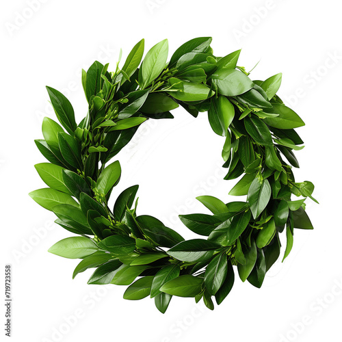 wreath of green leaves isolated against transparent background