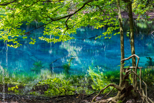 日本の風景　山形県遊佐町　神秘の池　丸池様	
