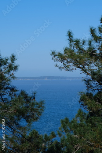 A view of Arcachon bay on a sunny day in winter. Pyla-sur-Mer, France - January 24, 2024.