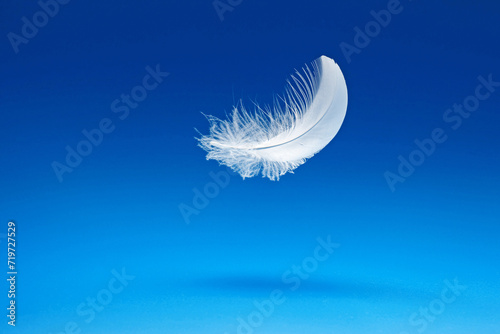 a white feather floats over a blue background, Studio © Andreas