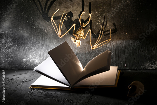 Open book with glowing ligh...