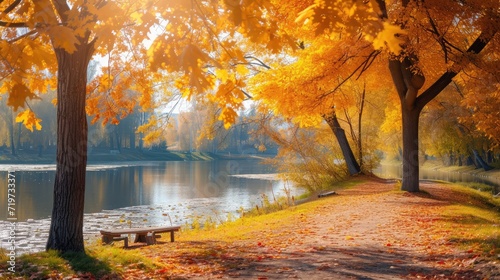Fototapeta Naklejka Na Ścianę i Meble -  Autumn scene. Bright colorful landscape yellow trees in autumn park. Fall nature.