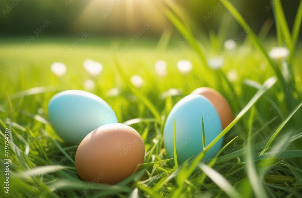 Easter eggs of pastel light colors on green grass