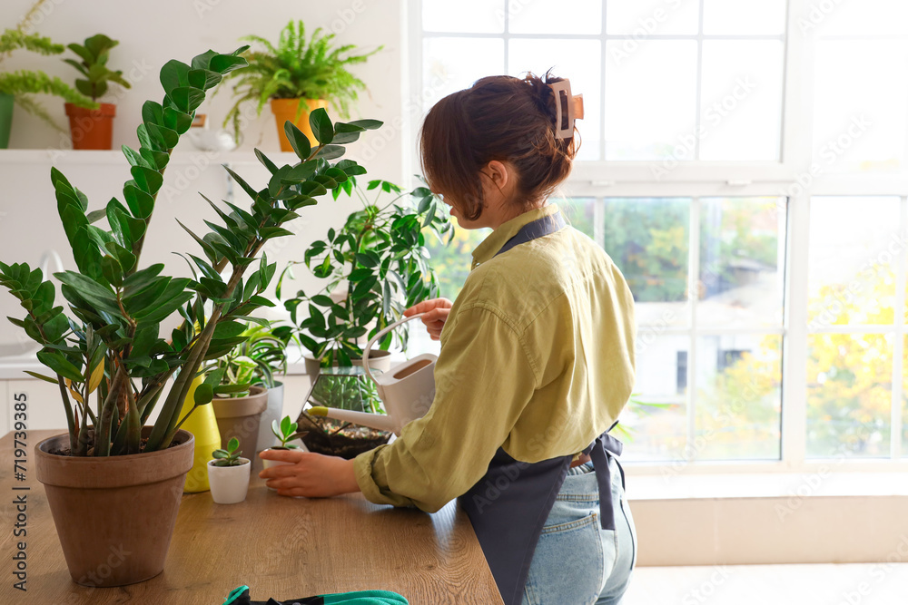 Female gardener watering green plants in kitchen