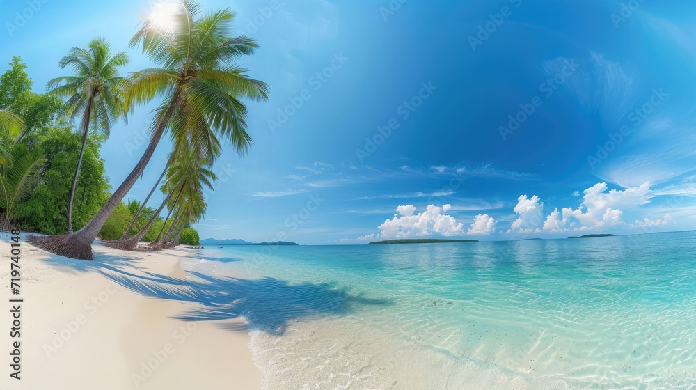 panorama of tropical beach with coconut palm trees