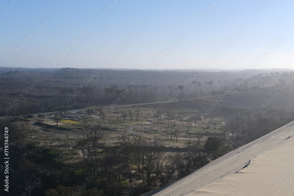 A view from the top of the Pilat dune with a burnt forest in the background. The Pilat dune is the highest in Europe. La Teste-de-Buch, France - January 25, 2024.
