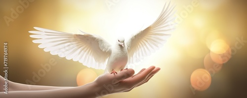 Freedom banner concept, praying hand and white dove happy flying on sunset, heaven, light flare background