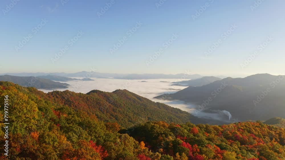 Aerial view drone of Smokey Mountains in the fall with colorful leaves overlooking the foggy, misty overcast cloudscape - seasons, pine, high, reveal, earth, beauty in nature Aerial view drone of Smokey Mountains in the fall with colorful leaves overlooking the foggy, misty overcast cloudscape - seasons, pine, high, reveal, earth, beauty in nature
