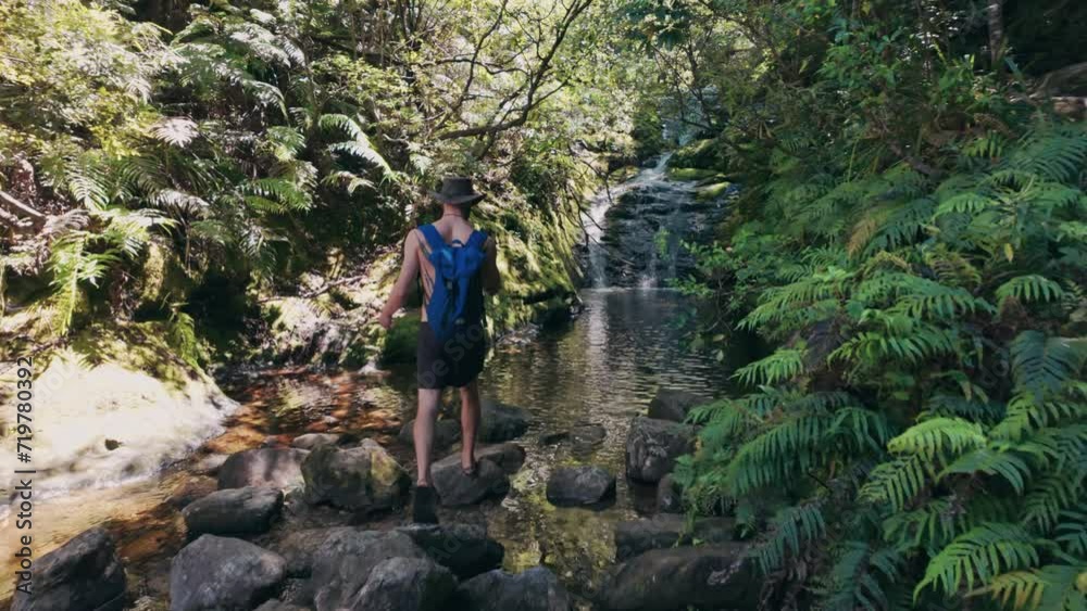 Man walking over rocks in a forest and and looking up at a river spring. Coromandel, New Zealand Man walking over rocks in a forest and and looking up at a river spring. Coromandel, New Zealand
