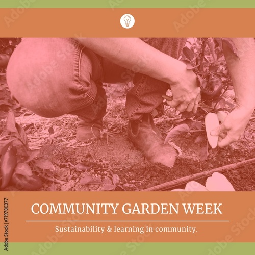 Composition of community garden week text and caucasian woman gardening