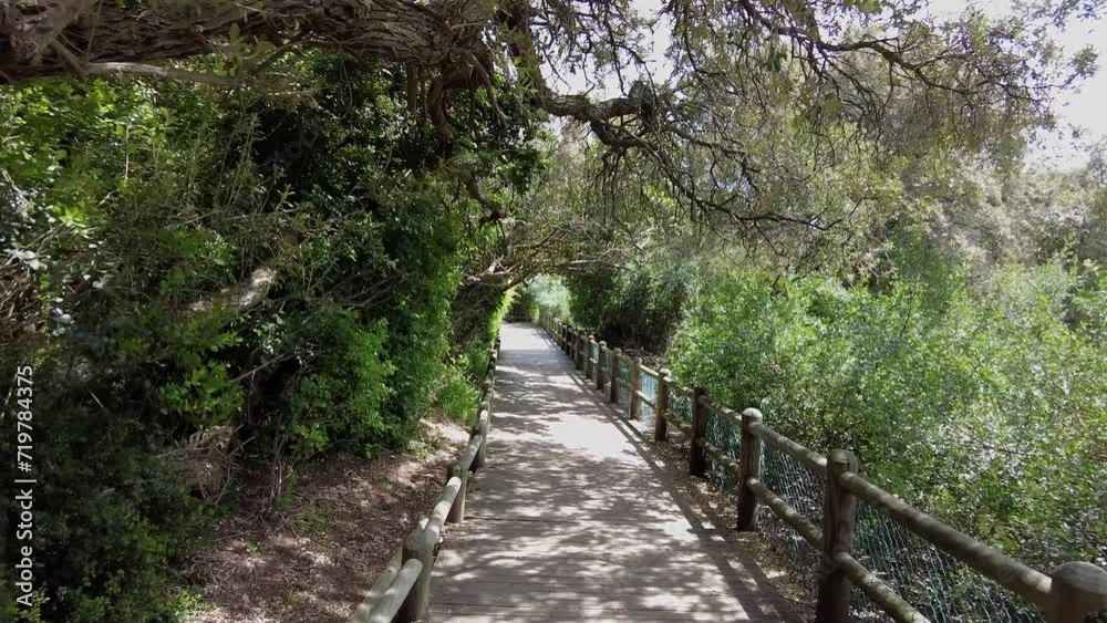 Empty Wooden Walkway At The Boulders Beach In Simon's Town, Cape Town, South Africa. POV Empty Wooden Walkway At The Boulders Beach In Simon's Town, Cape Town, South Africa. POV