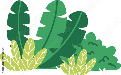 Green decorative bush and grass