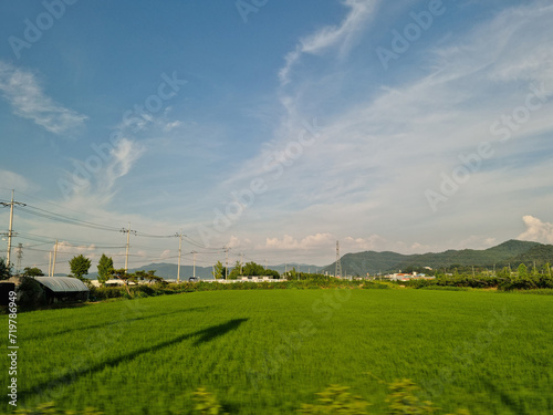 It is a rural landscape with blue skies and rice fields.