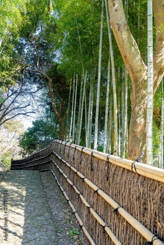 静寂に包まれた竹林の中を歩く石畳の遊歩道の情景