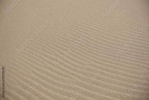 【テクスチャ】砂浜にできた風紋