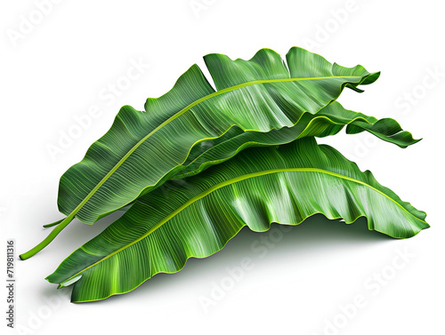 green banana leaf isolated on white