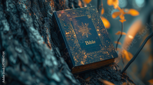 Photographie Bible, Book of life, holy scripture, Christian life