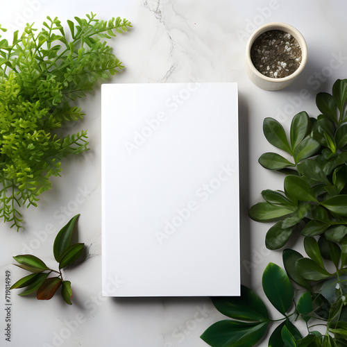Minimal white hardcover book mockup on the desk with plants photo