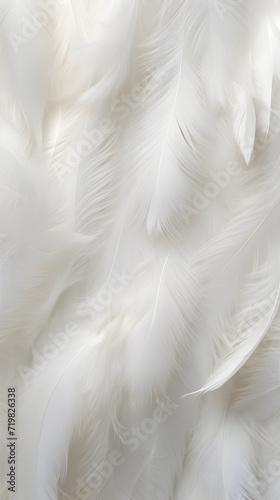 White feathers background, Close-up of white feathers, depicting the graceful freedom of a solitary bird in flight, symbolizing love and tranquility, with elements of nature and wildlife © Ausanee