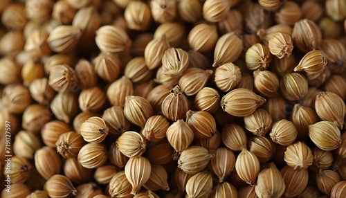A collection of coriander seed
