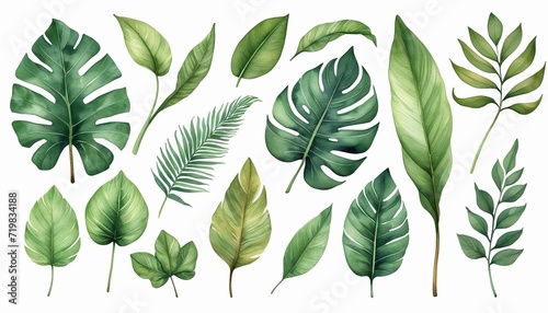 Set of Tropical Green Leaves and Vintage Autumn Leaves